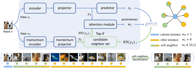 Figure 3 for Soft Neighbors are Positive Supporters in Contrastive Visual Representation Learning