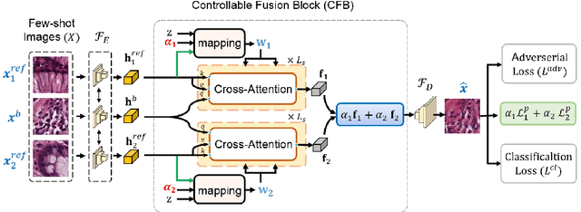 Figure 1 for Cross-modulated Few-shot Image Generation for Colorectal Tissue Classification