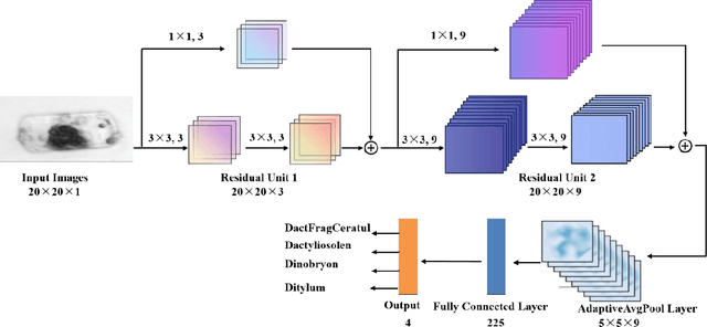 Figure 2 for Hybrid quantum-classical convolutional neural network for phytoplankton classification