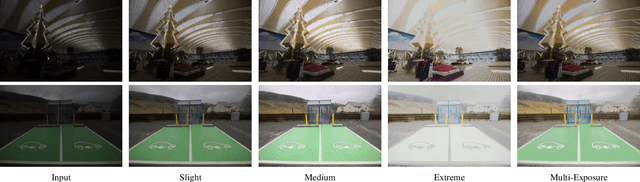 Figure 3 for Learning a Single Convolutional Layer Model for Low Light Image Enhancement