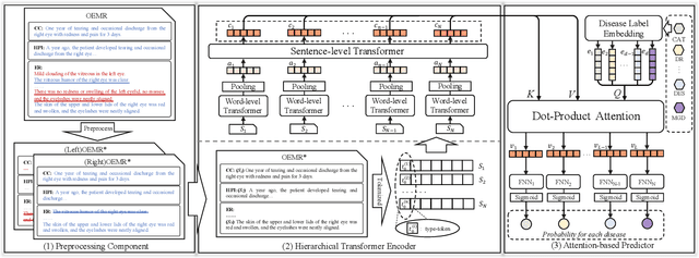 Figure 1 for NEEDED: Introducing Hierarchical Transformer to Eye Diseases Diagnosis