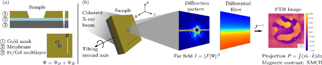 Figure 1 for Three-dimensional tomographic imaging of the magnetization vector field using Fourier transform holography