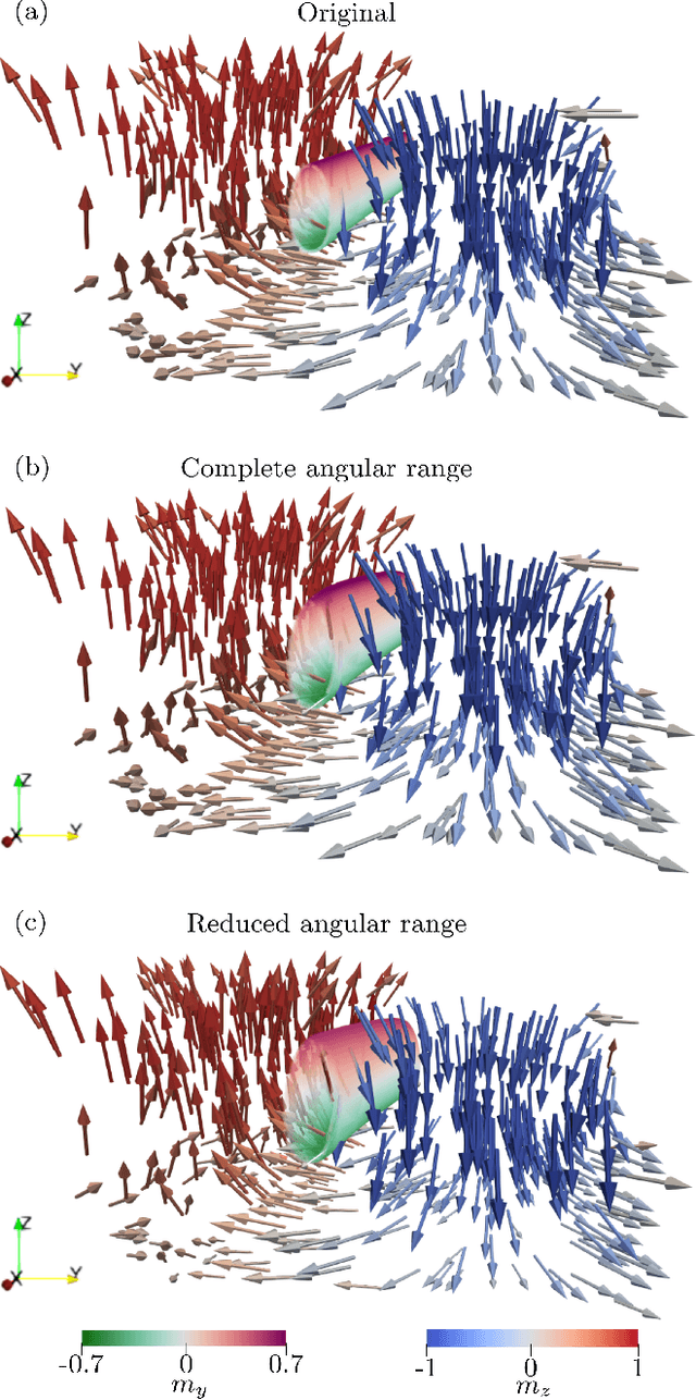 Figure 3 for Three-dimensional tomographic imaging of the magnetization vector field using Fourier transform holography