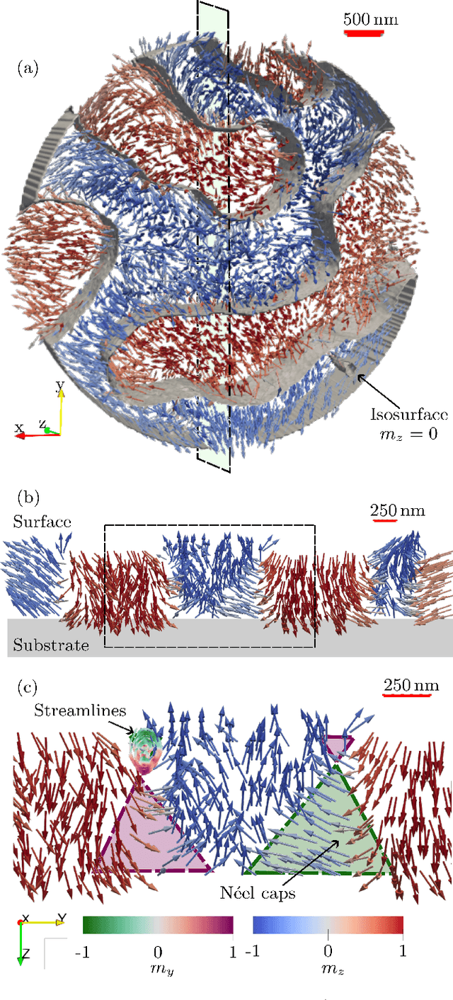 Figure 4 for Three-dimensional tomographic imaging of the magnetization vector field using Fourier transform holography