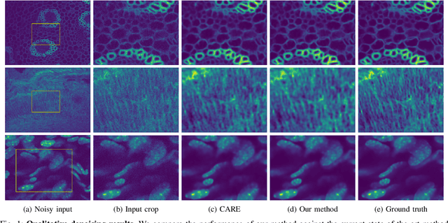 Figure 1 for CLIDiM: Contrastive Learning for Image Denoising in Microscopy