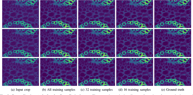 Figure 2 for Generalizable Denoising of Microscopy Images using Generative Adversarial Networks and Contrastive Learning