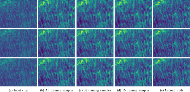 Figure 3 for Generalizable Denoising of Microscopy Images using Generative Adversarial Networks and Contrastive Learning