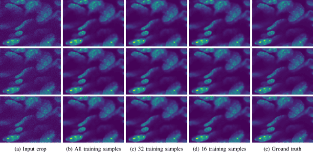 Figure 4 for Generalizable Denoising of Microscopy Images using Generative Adversarial Networks and Contrastive Learning