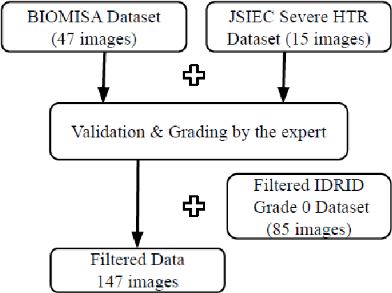 Figure 4 for Explainable Artificial Intelligence in Retinal Imaging for the detection of Systemic Diseases