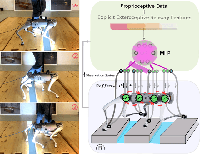 Figure 1 for Puppeteer and Marionette: Learning Anticipatory Quadrupedal Locomotion Based on Interactions of a Central Pattern Generator and Supraspinal Drive