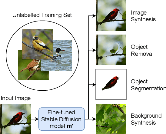 Figure 1 for Zero-Shot Object Segmentation through Concept Distillation from Generative Image Foundation Models