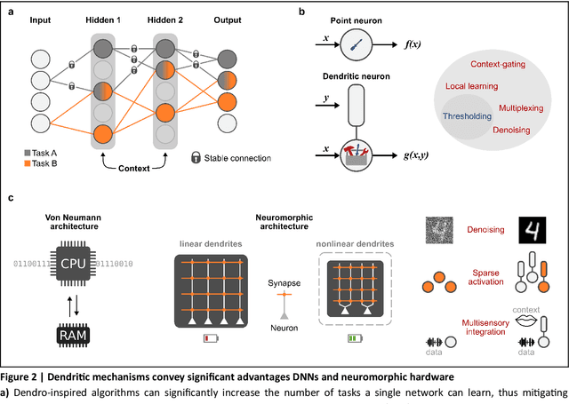 Figure 2 for Leveraging dendritic properties to advance machine learning and neuro-inspired computing