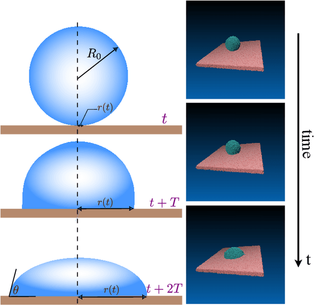 Figure 3 for Characterization of partial wetting by CMAS droplets using multiphase many-body dissipative particle dynamics and data-driven discovery based on PINNs