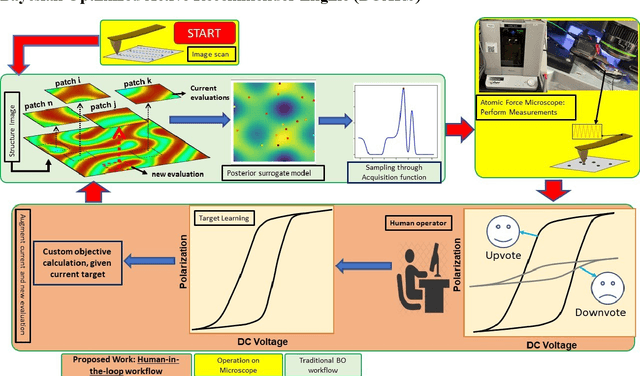 Figure 1 for A dynamic Bayesian optimized active recommender system for curiosity-driven Human-in-the-loop automated experiments