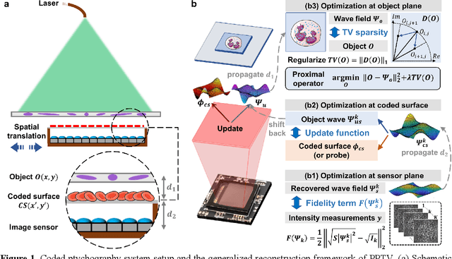 Figure 1 for Sparsity-regularized coded ptychography for robust and efficient lensless microscopy on a chip