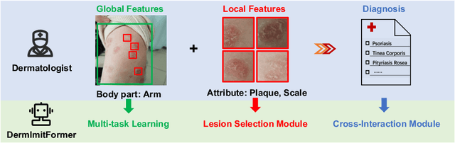 Figure 1 for A Novel Multi-Task Model Imitating Dermatologists for Accurate Differential Diagnosis of Skin Diseases in Clinical Images