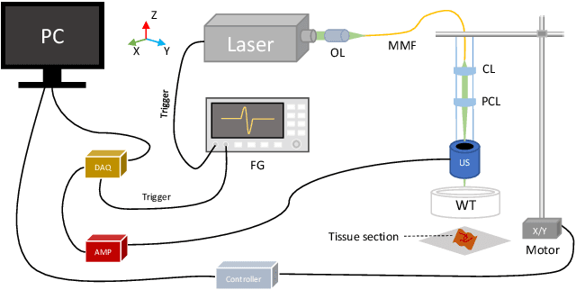 Figure 1 for Machine-Learning-based Colorectal Tissue Classification via Acoustic Resolution Photoacoustic Microscopy