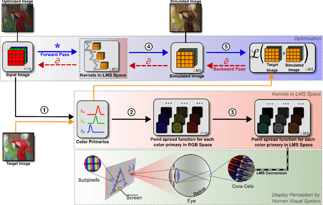 Figure 3 for ChromaCorrect: Prescription Correction in Virtual Reality Headsets through Perceptual Guidance