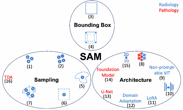 Figure 1 for Exploring SAM Ablations for Enhancing Medical Segmentation in Radiology and Pathology