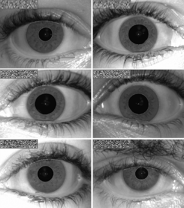 Figure 1 for Ethnicity and Biometric Uniqueness: Iris Pattern Individuality in a West African Database