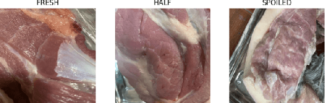Figure 2 for Meat Freshness Prediction