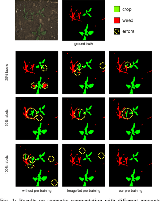 Figure 1 for On Domain-Specific Pre-Training for Effective Semantic Perception in Agricultural Robotics