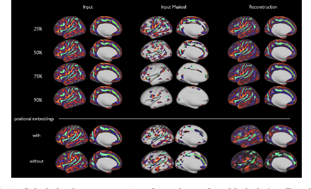 Figure 3 for Surface Masked AutoEncoder: Self-Supervision for Cortical Imaging Data