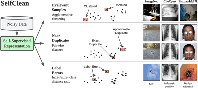 Figure 1 for SelfClean: A Self-Supervised Data Cleaning Strategy