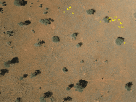 Figure 1 for Rare Wildlife Recognition with Self-Supervised Representation Learning