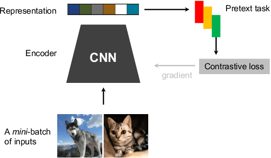 Figure 3 for Rare Wildlife Recognition with Self-Supervised Representation Learning