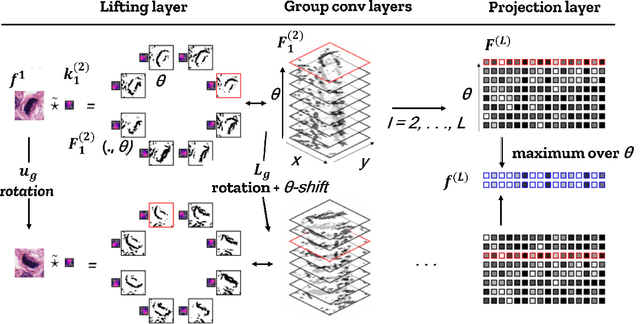 Figure 1 for Invariant Scattering Transform for Medical Imaging