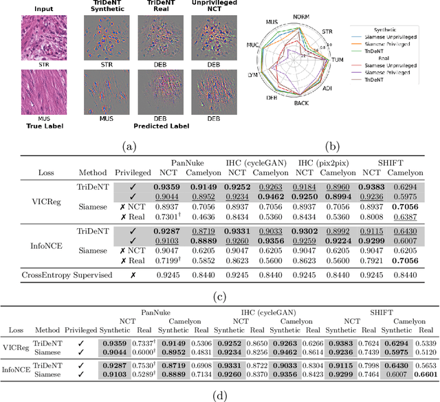 Figure 2 for Synthetic Privileged Information Enhances Medical Image Representation Learning