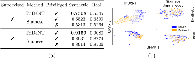 Figure 3 for Synthetic Privileged Information Enhances Medical Image Representation Learning