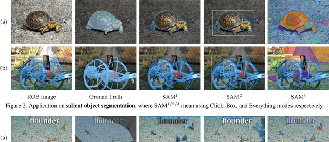 Figure 1 for Segment Anything Is Not Always Perfect: An Investigation of SAM on Different Real-world Applications