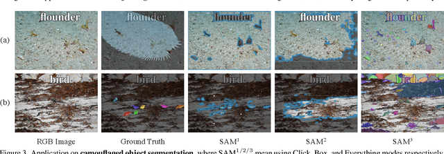 Figure 2 for Segment Anything Is Not Always Perfect: An Investigation of SAM on Different Real-world Applications
