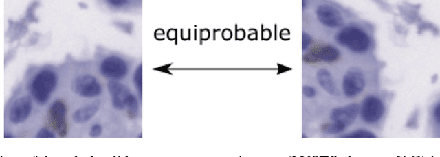 Figure 1 for Sample Complexity of Probability Divergences under Group Symmetry