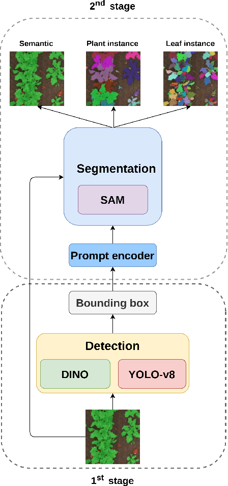 Figure 1 for A SAM-based Solution for Hierarchical Panoptic Segmentation of Crops and Weeds Competition