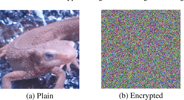Figure 4 for Color-NeuraCrypt: Privacy-Preserving Color-Image Classification Using Extended Random Neural Networks