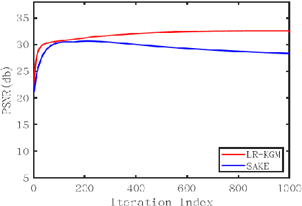 Figure 3 for Low-rank Tensor Assisted K-space Generative Model for Parallel Imaging Reconstruction