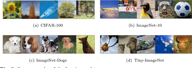 Figure 3 for Heterogeneous Tri-stream Clustering Network