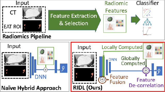 Figure 1 for Radiomics-Informed Deep Learning for Classification of Atrial Fibrillation Sub-Types from Left-Atrium CT Volumes