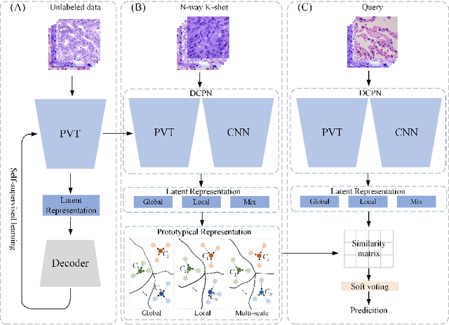 Figure 2 for Dual-channel Prototype Network for few-shot Classification of Pathological Images