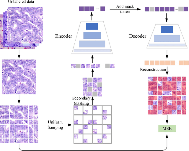 Figure 3 for Dual-channel Prototype Network for few-shot Classification of Pathological Images