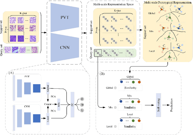 Figure 4 for Dual-channel Prototype Network for few-shot Classification of Pathological Images