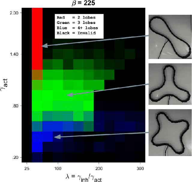 Figure 2 for Swarm of One: Bottom-up Emergence of Stable Robot Bodies from Identical Cells