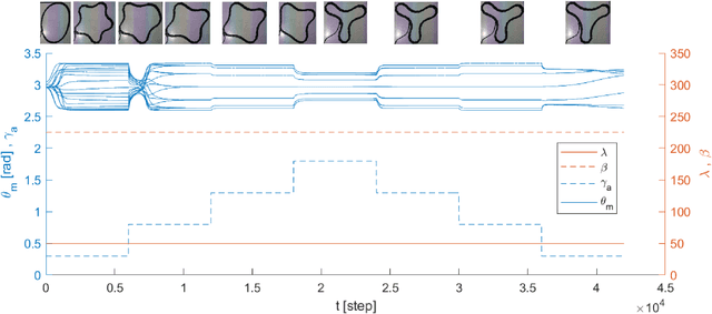 Figure 4 for Swarm of One: Bottom-up Emergence of Stable Robot Bodies from Identical Cells