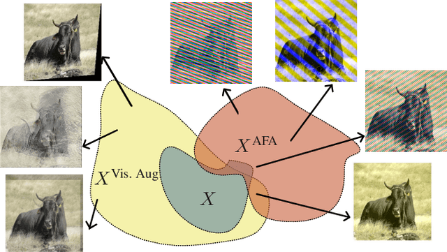 Figure 1 for Fourier-basis Functions to Bridge Augmentation Gap: Rethinking Frequency Augmentation in Image Classification