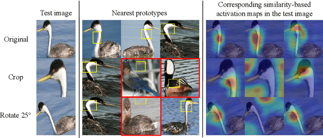 Figure 4 for Towards Human-Interpretable Prototypes for Visual Assessment of Image Classification Models