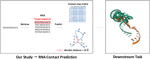 Figure 1 for Knowledge from Large-Scale Protein Contact Prediction Models Can Be Transferred to the Data-Scarce RNA Contact Prediction Task