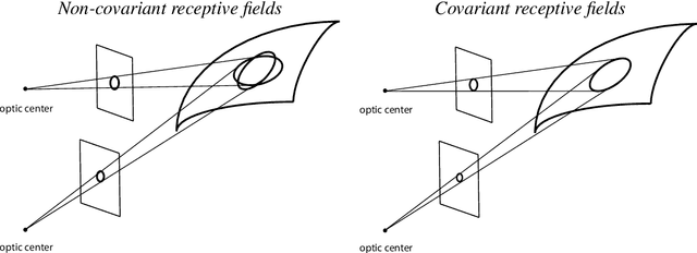 Figure 2 for Covariance properties under natural image transformations for the generalized Gaussian derivative model for visual receptive fields